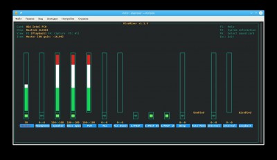 alsamixer.jpeg
